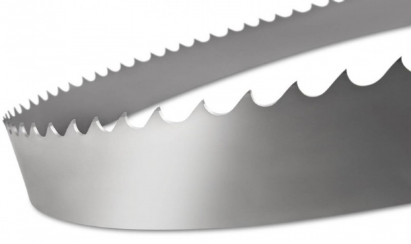 Chromstahl Bandsägeblatt 6300 bis 6500mm Bandbreite 30mm günstig Top Preis